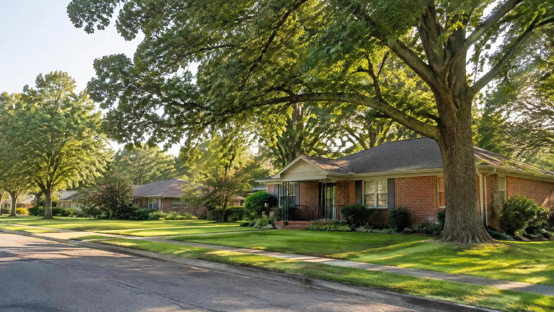 Large shade tree arching over the front lawn of a brick ranch home on a quiet tree-lined street, tree service in Memphis, TN